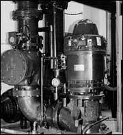 13.jpg (15479 bytes)